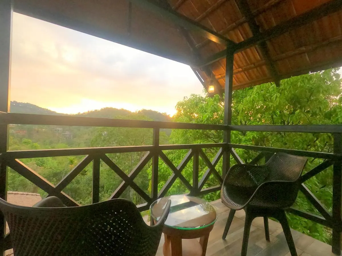 The Wild Trails Clarks Exotica , Munnar Hotel India