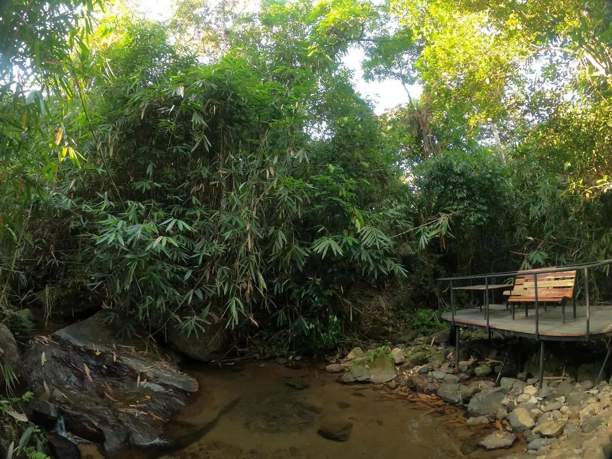 The Wild Trails Clarks Exotica , Munnar Hotel